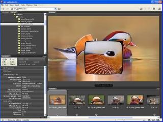 adobe bridge программа