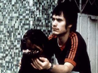 amores perros ifolder