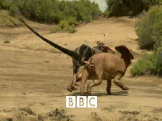 bbc правда о динозаврах-убийцах одним файлом