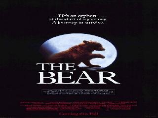 bear фильм