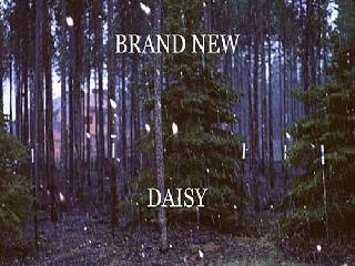 brand new - daisy альбом