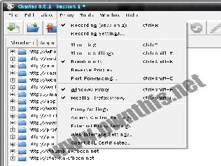 charles web debugging tool