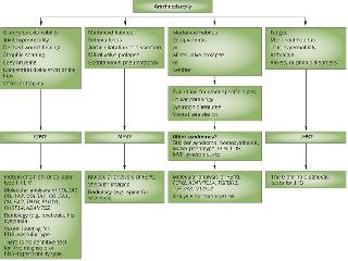 connective program key