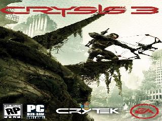 crysis setup-3.bin