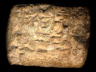 cuneiform 2000 se