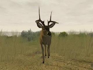 deer hunter 2