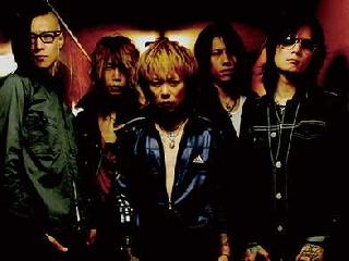 dir en grey vinushka