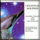dolphin touch музыка