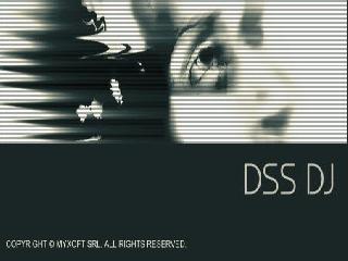 dss dj русификатор