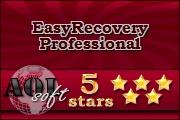 easyrecovery professional v6.03.04