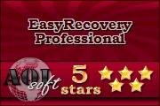 easyrecovery professional v6.03.04