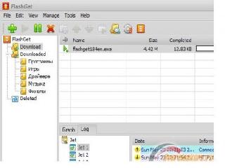 flashget русскоязычная