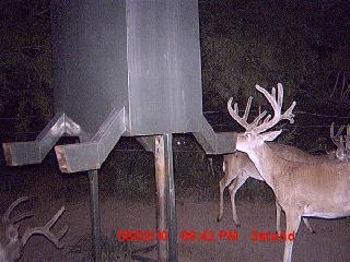 game cam 1.0