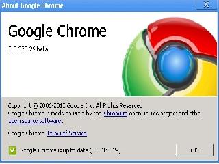 google chrome 5 beta