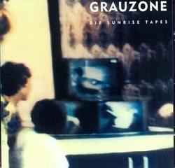 grauzone eisbar