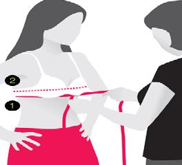 how to measure your bra size