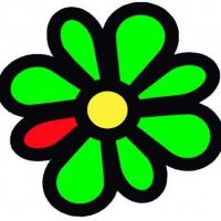 icq news