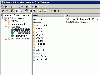 iis 6.0 где