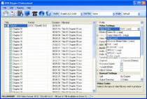 jesterware dvd ripper professional rus free