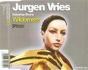 jurgen vries - wilderness radio edit