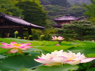 kitaro sunrise