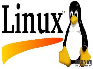 linux counter strike 1.6
