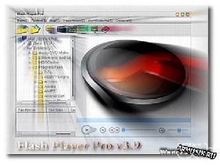 macromedia flash player 8.5 r133 ru