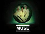 muse you fuckin motherfucker