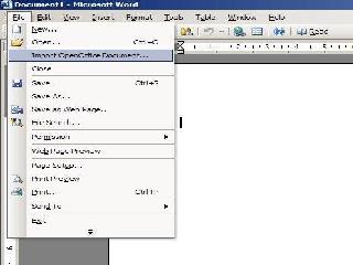 openoffice filter microsoft word xml