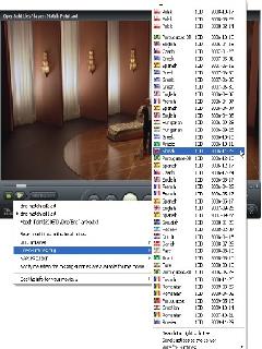 opensubtitles mkv player 4.3.6.9.1 rus