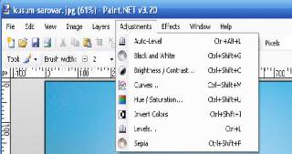 paint net v 3.20