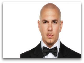 pitbull dj