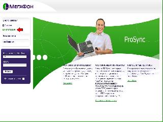 prosync прогород